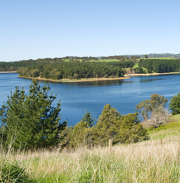 photo water quality Photo of field and lake