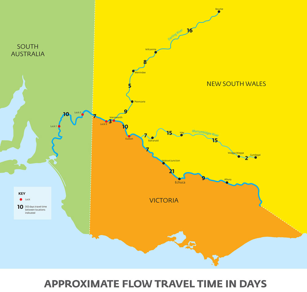 The River Murray system indicating approximate flow travel time in days.