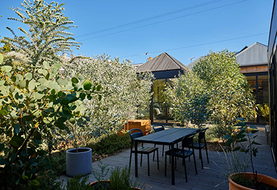 A courtyard garden, with a paved area, table and picnic benches, surrounded by small to medium-sized native shrubs 