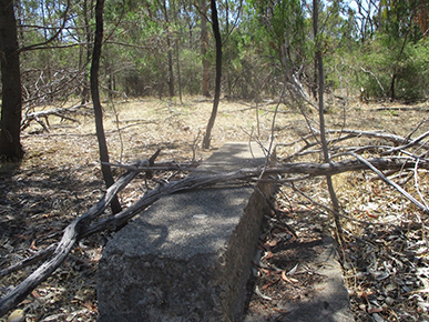 A slad of concrete in a forest, surrounded by branches