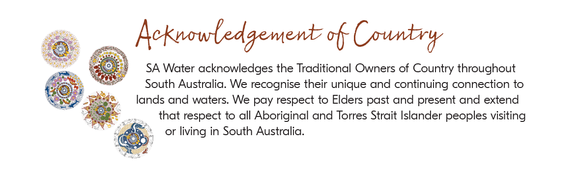 SA Water Reconciliation