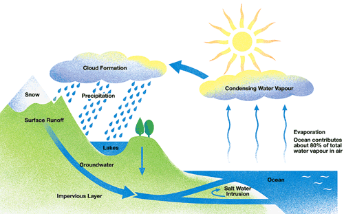 Resultado de imagen de water cycle