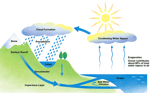 diag_water_cycle.gif