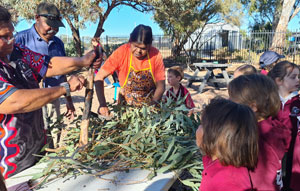 A first nations elder preparing plants on a table in front of a group of aboriginal children