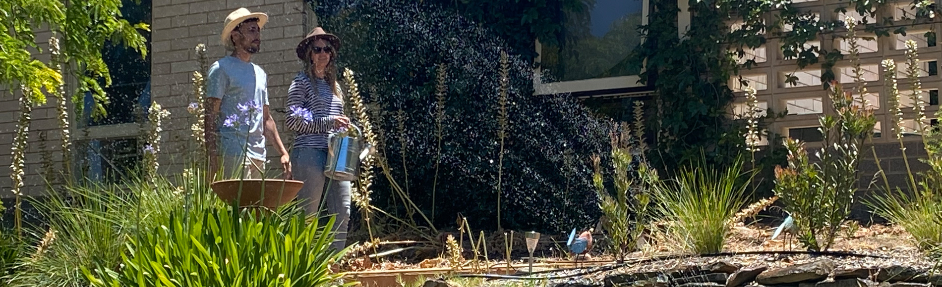 Cool green garden water saving tips