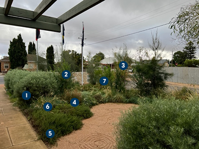 Kadina Depot native garden