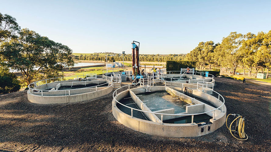 well-treated-image