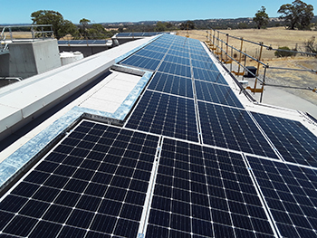 The 100 roof-mounted panels at the Mount Pleasant Water Treatment Plant